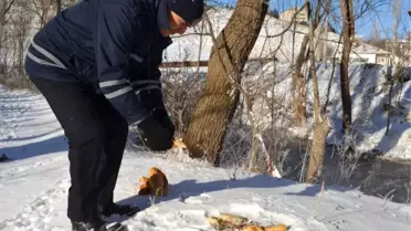 Bünyan Belediyesi Sokak ve Yaban Hayvanlarını Unutmuyor