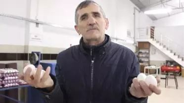 Yumurta Fiyatındaki Artış Üreticileri Sevindirdi