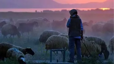 Türkiye'de İlk Kez Çobanlar İçin Fuar Düzenlenecek