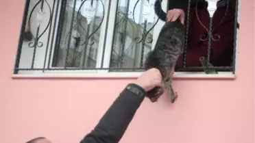Çıplak Ayakla Kedi Kurtarma Operasyonu