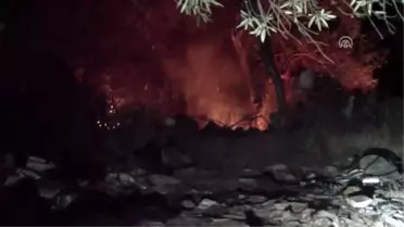 Çanakkale'de Zeytinlik Yangını