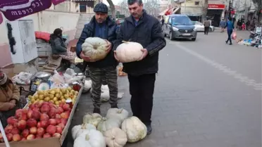 Yeni Yıl Kabakları Alıcı Bekliyor