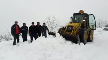 Salihli Belediyesi'nden Karla Etkin Mücadele