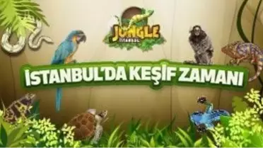 Jungle İstanbul