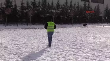 Uşak'ta Karda Aç Kalan Sokak Hayvanlarına Yiyecek