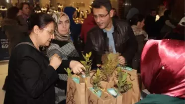 Samsun'da 4 Bin Fidan Dağıtıldı