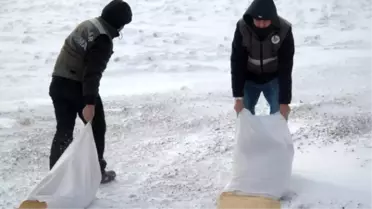 Çubuk'ta Sokak Hayvanları İçin Yem Bırakıldı