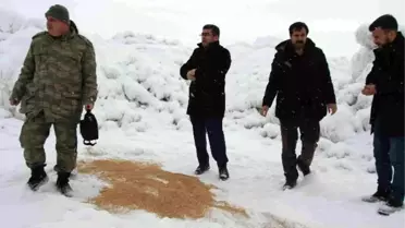 Başkan Çetin Yabani Hayvanlar İçin Doğaya Yem Bıraktı