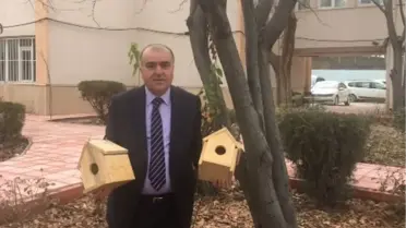 Batman'da Ağaç Dallarına Yuva Yapıldı