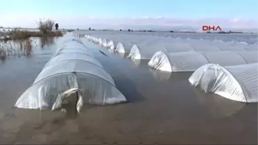 Mersin Sel Suları Altında Kalan Seralarda Sandallarla Hasat