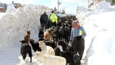 Yaylada Mahsur Kalan Aile Kurtarıldı