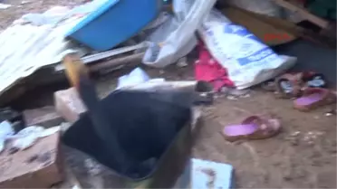 Adana 3 Metrekarelik Çadırda Yaşam Savaşı