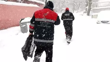 Güngören Belediyesi Sokak Hayvanlarına Sahip Çıktı