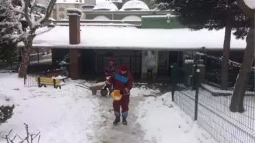 Gebze'de Avlu ve Bahçeler Kardan Temizlendi