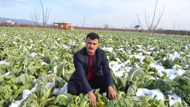Manisa'daki Kar Yağışı