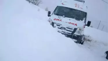 Onlar Kara Teslim Olmadı