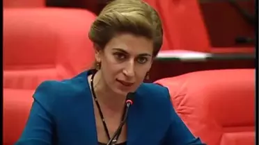 CHP'li Engin'den 'Partili Cumhurbaşkanı' Sorusu