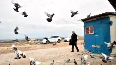 Kepçeyle Duvarı Delerek Güvercin Çaldılar