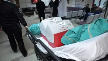 Edirne'den Kısa Kısa