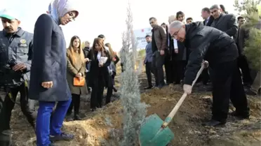 Mardin'de 'Bereket Ormanlarına' Fidan Dikildi
