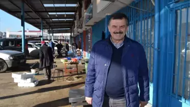 Gürcü Hamsisi de Çare Olmadı