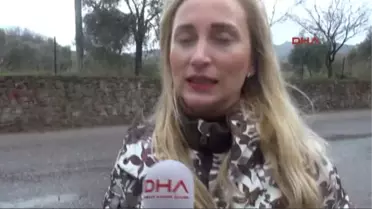 Bodrum Ağaca Zincirlenen Köpek, Açlıktan Ölmek Üzereyken Bulundu