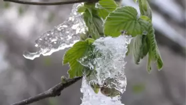 Tarım Sigortanızı Yaptırın' Uyarısı