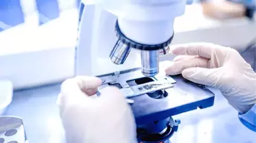 Tüp Bebek Tedavisi Yan Etkilerini Azaltma Araştırmasına Tübitak Desteği