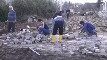 Asırlık Zeytin Ağacı Koruma Altına Alındı