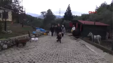 Muğla Can Dostları Için Yardım Toplayan Ingiliz'e Teşekkür Plaketi