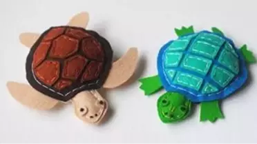 Peluş Kaplumbağalar