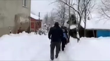 Kapalı Mahalle Yolu Yaralı Köpek Için Açıldı