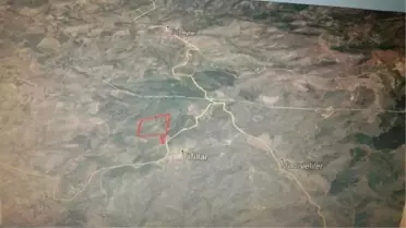 Maden Şirketine 'Zeytin Alanı' Engeli