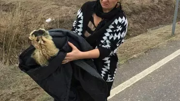 Soğukta Halsiz Düşen Kuş Tedavi Edilecek