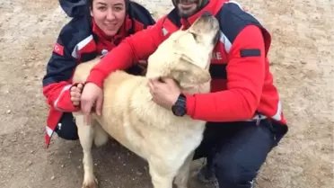 Şanslı'Nın İmdadına Umke Yetişti