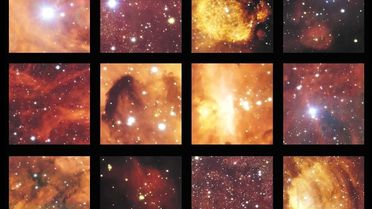 Gök Kedi ve Kozmik Istakozun Buluşması