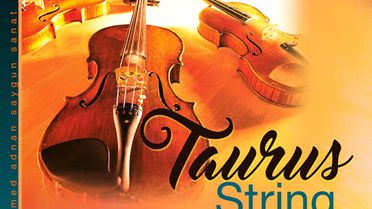 Taurus String Quartet