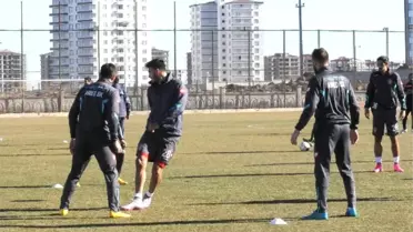 Amed Sportif Faaliyetler İstanbul'a Gitti