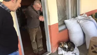 Bu Dostluk Görenleri Şaşırtıyor