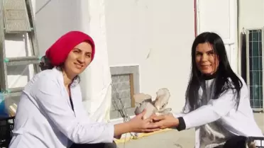 Aile Bütçelerine Katkı İçin Başladılar, Ayda 10 Ton Mantar Üretiyorlar