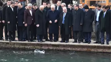 Bakan Elvan Balıklıgöl ve Müzeleri Gezdi