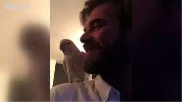 Ece Yörenç'in Papağanı Kıvanç ile Tempo Tuttu