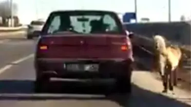 Köpeğin Otomobile Bağlanıp Götürülmesi Tepki Çekti