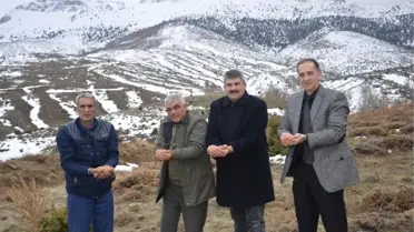 Günyüzü'nde Yaban Hayvanları İçin Araziye Yem Atıldı