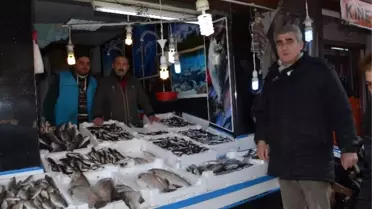 Tam Hamsi Tuzlama Zamanı Ama...