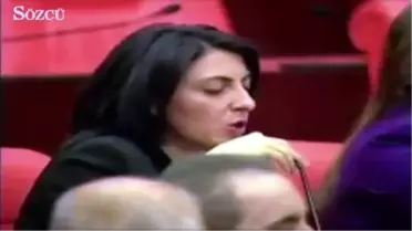 Yok Böyle Bir İroni! CHP'li Kayışoğlu, AKP'nin Sağlıkta Devrimini Meclis'te Böyle Anlattı