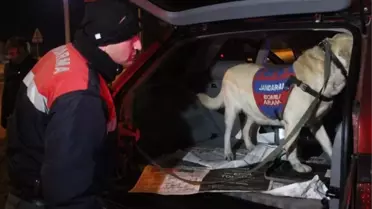 Bolu'da Bomba Arama Köpeği ile Huzur Operasyonu