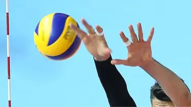 Voleybol: Efeler Ligi