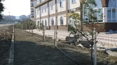 Hz. Ebu Bekir Camii'nin Çevresi Fidanlarla Donatıldı