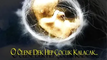 47nci Kromozom
